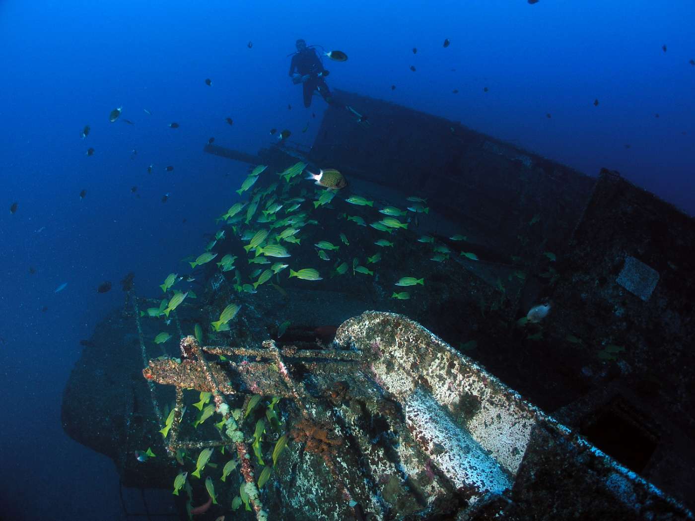 MASCAREIGNES PLONGEE Station balnéaire Saint-Gilles 974