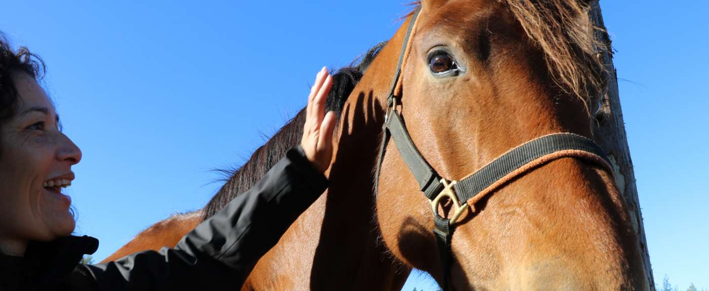LES ECURIES DU CENTAURE Station balnéaire Saint-Gilles 974