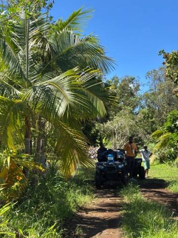 ADVENTURE QUAD Saint-Paul 974