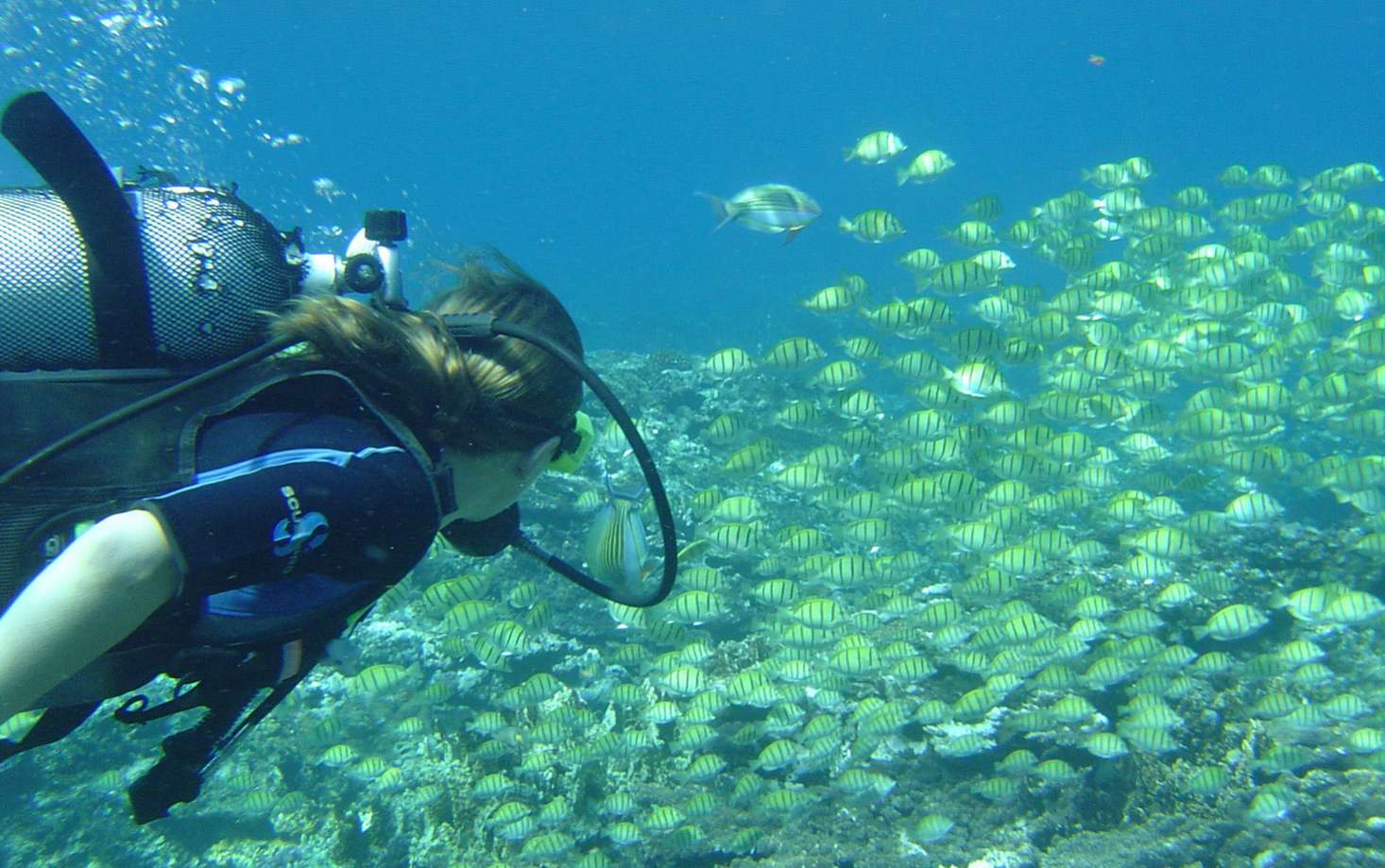 ABYSS PLONGEE Saint-Leu Centre-ville 974