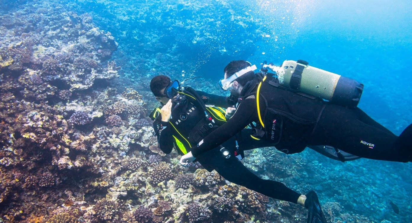 EXCELSUS PLONGEE SAINT LEU  974