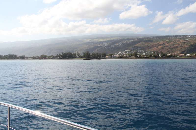 CROISIÈRES AUSTRALES - BELL'ILE Saint-Gilles 974