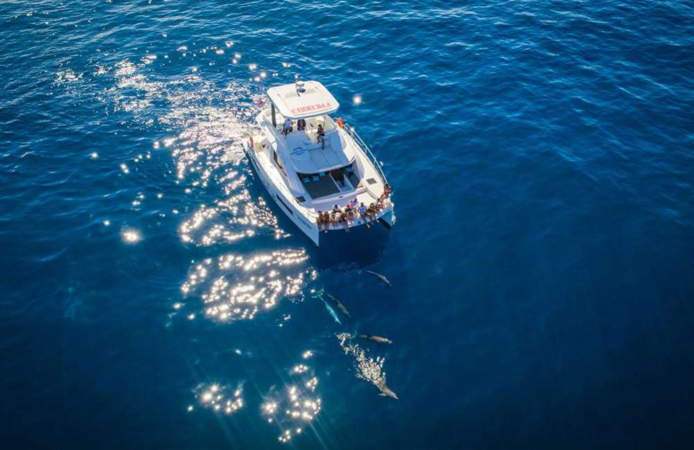 CROISIÈRES AUSTRALES - BELL'ILE Saint-Gilles 974