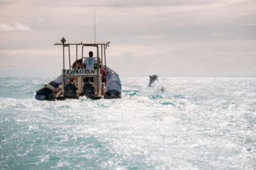 COCOBOAT Saint-Gilles-Les-Bains Saint-Gilles 974