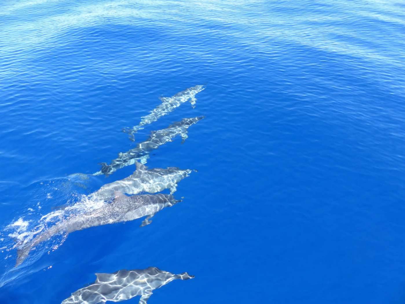 LA CROISIÈRE AVENTURE Saint-Gilles-Les-Bains  974