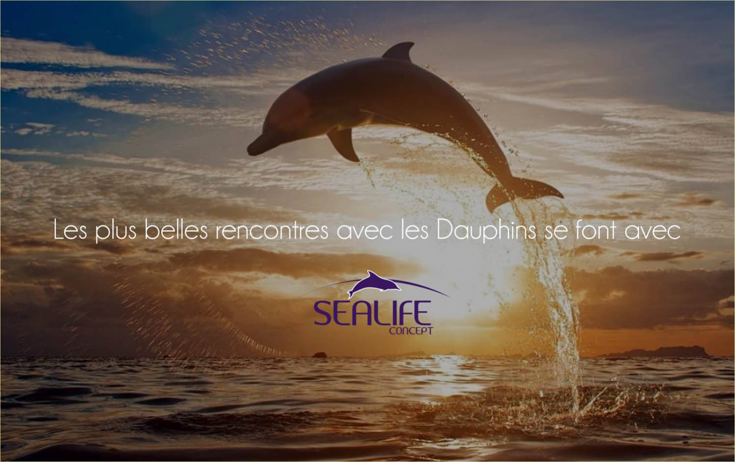 SPLASH - SEALIFE CONCEPT Saint-Gilles 974