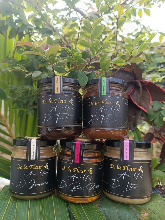 Atelier découverte des abeilles et manipulation de ruches à La Réunion avec dégustation de miel