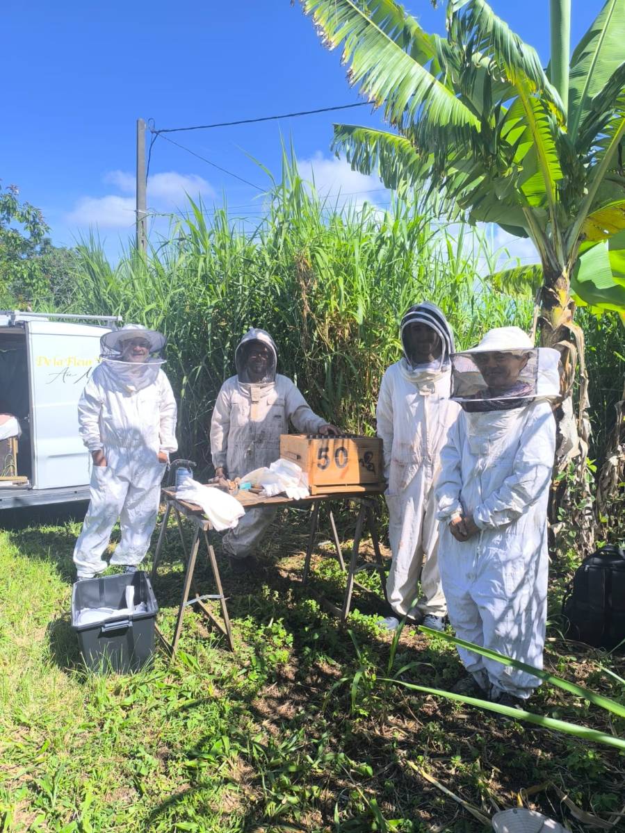 DE LA FLEUR AU MIEL 974