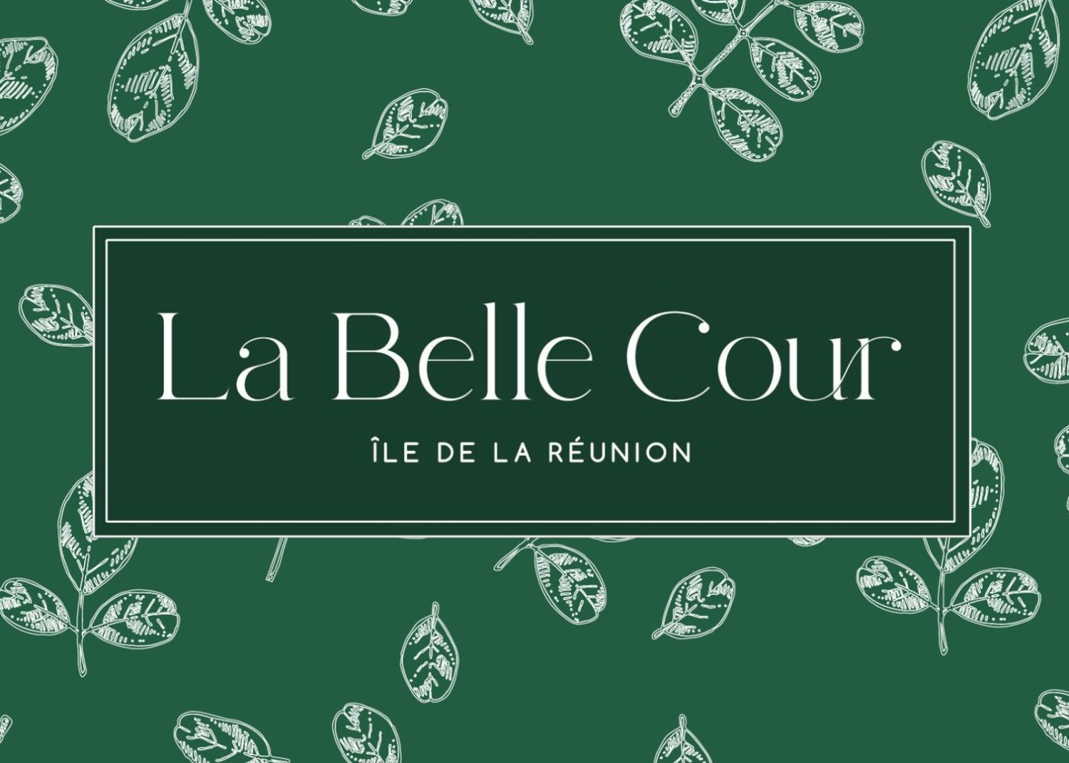 LA BELLE COUR Saint-Paul  974