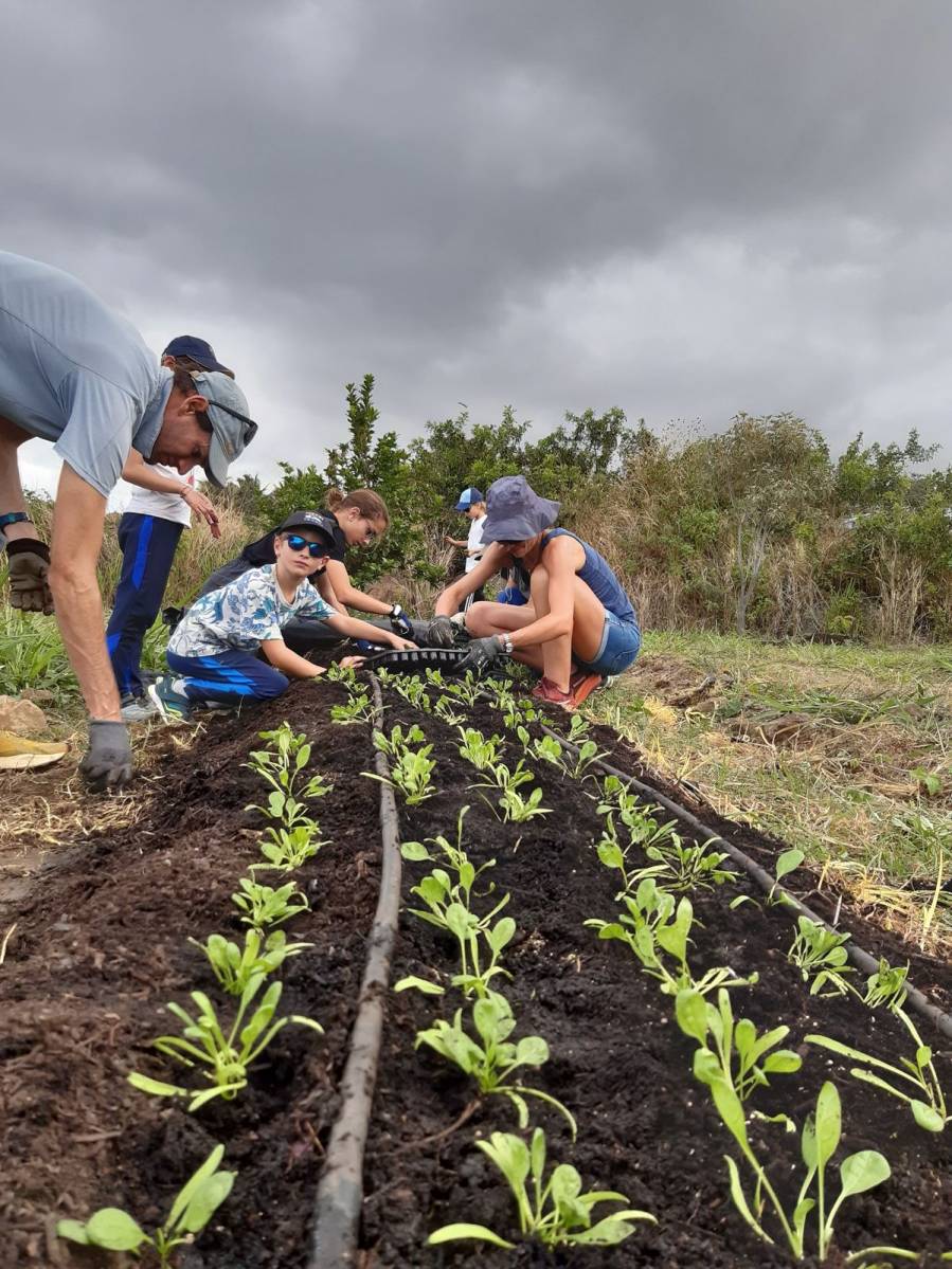 LE JARDIN DES KIOSQUES 974