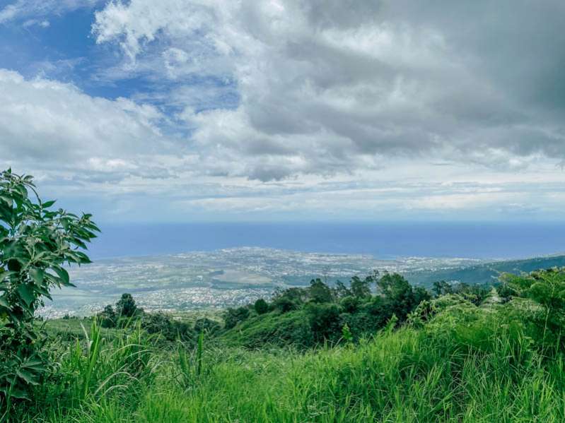 rencontre au domaine des caféiers à saint-paul, l'unique exploitation de café bourbon pointu bio de la réunion 974