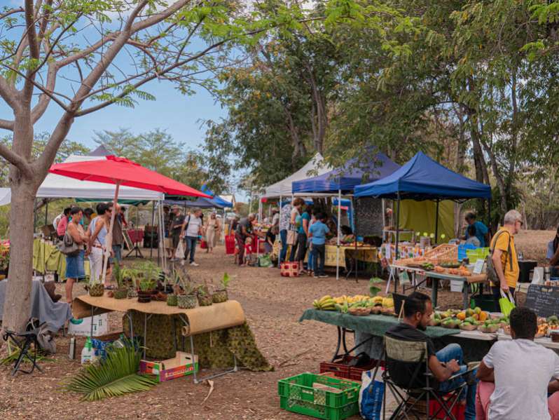 un samedi matin, au marché bio de l'eperon à la réunion 974