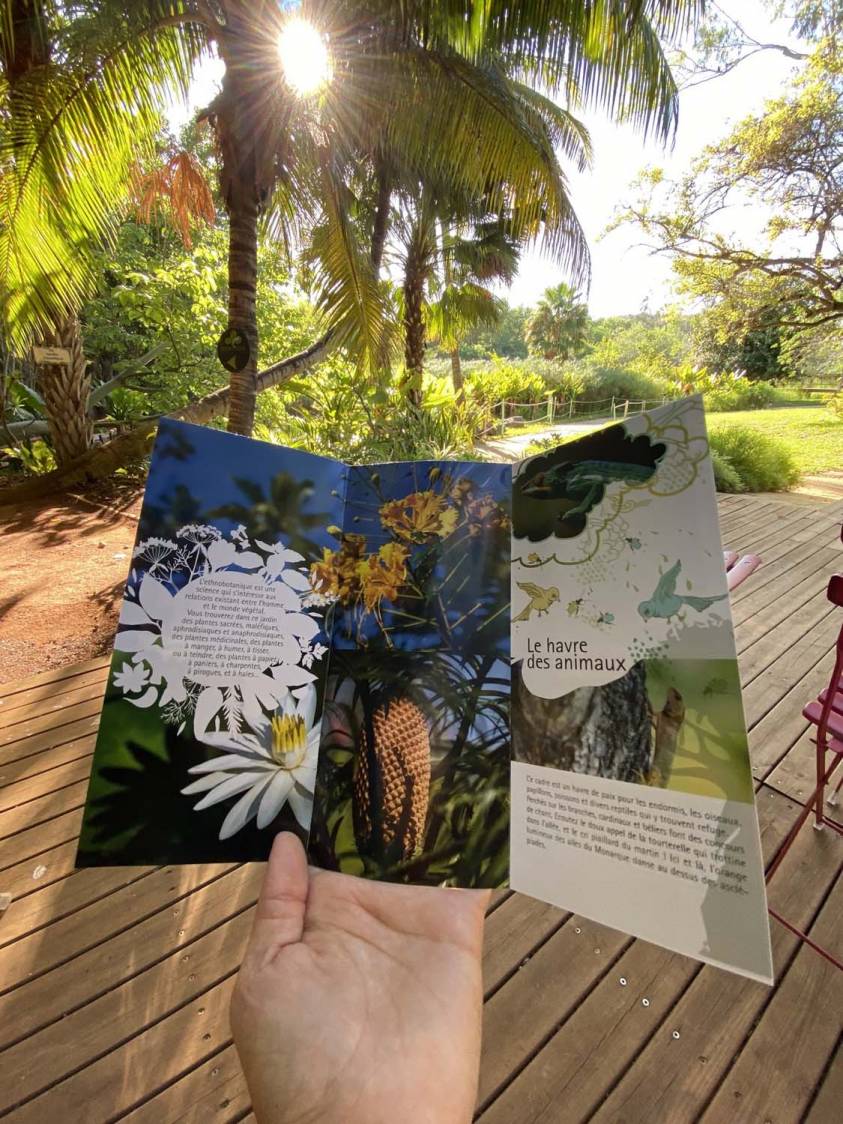 LE JARDIN D'EDEN DE L'HERMITAGE DE LA REUNION 974