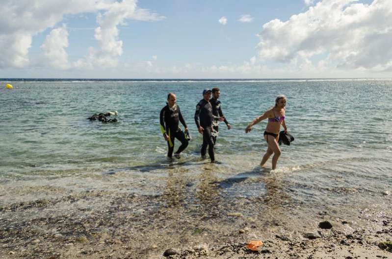 festival de l'image sous-marine de la réunion : première immersion réussie 974