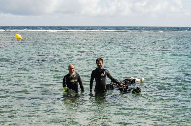 festival de l'image sous-marine de la réunion : première immersion réussie 974