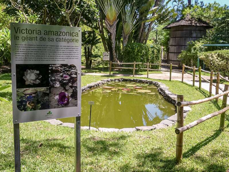 10 activités à vivre en famille dans l'ouest de la réunion 974