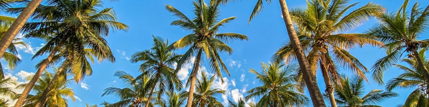 7 Réunionnais incontournables à rencontrer pendant ses vacances dans l'Ouest