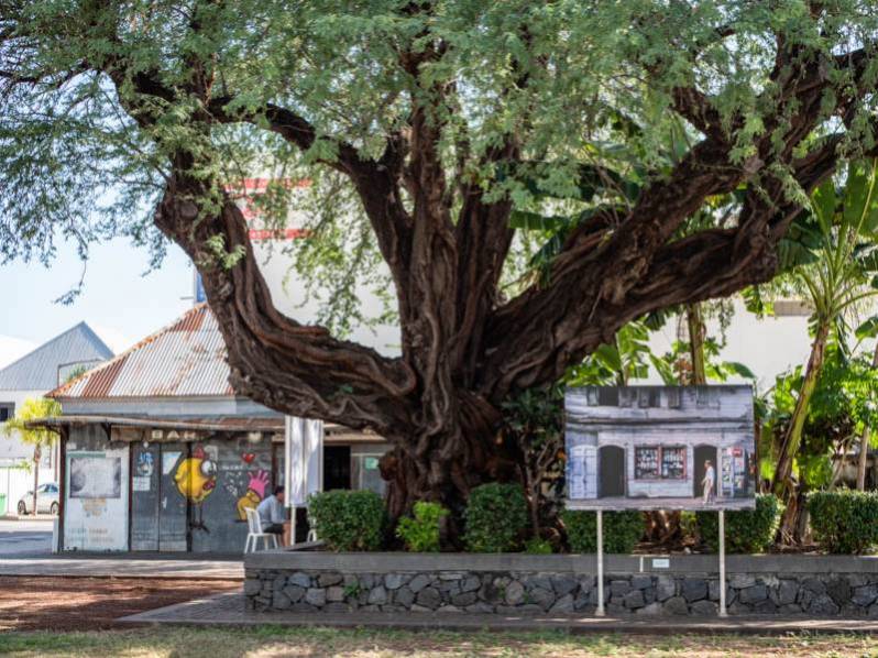 JOURNÉE LE PORT LA RÉUNION 974