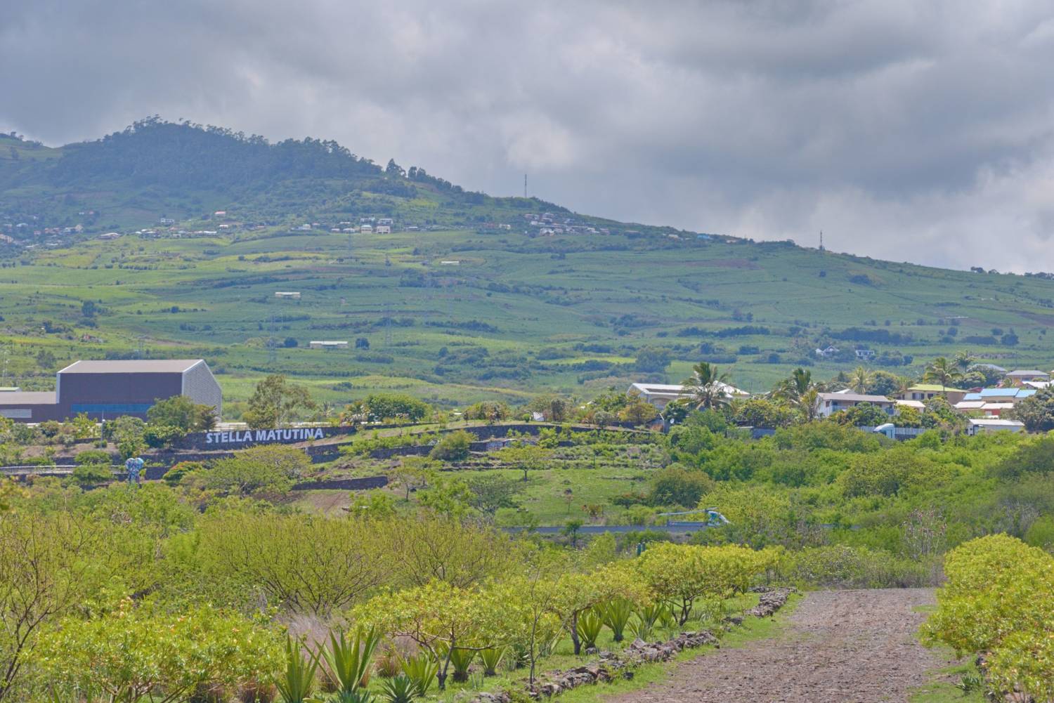 DU SEL AU SUCRE DE SAINT LEU DE LA RÉUNION 974