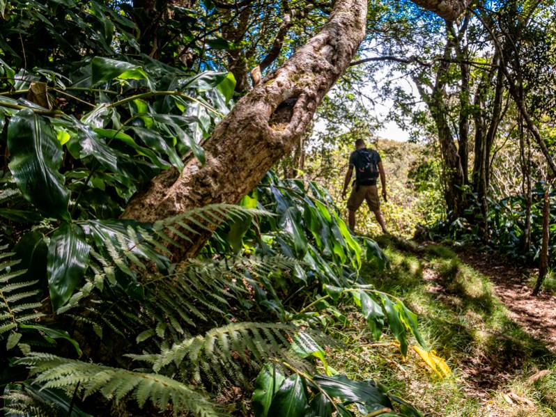 Les plus belles randonnées à faire dans l'Ouest de La Réunion 974