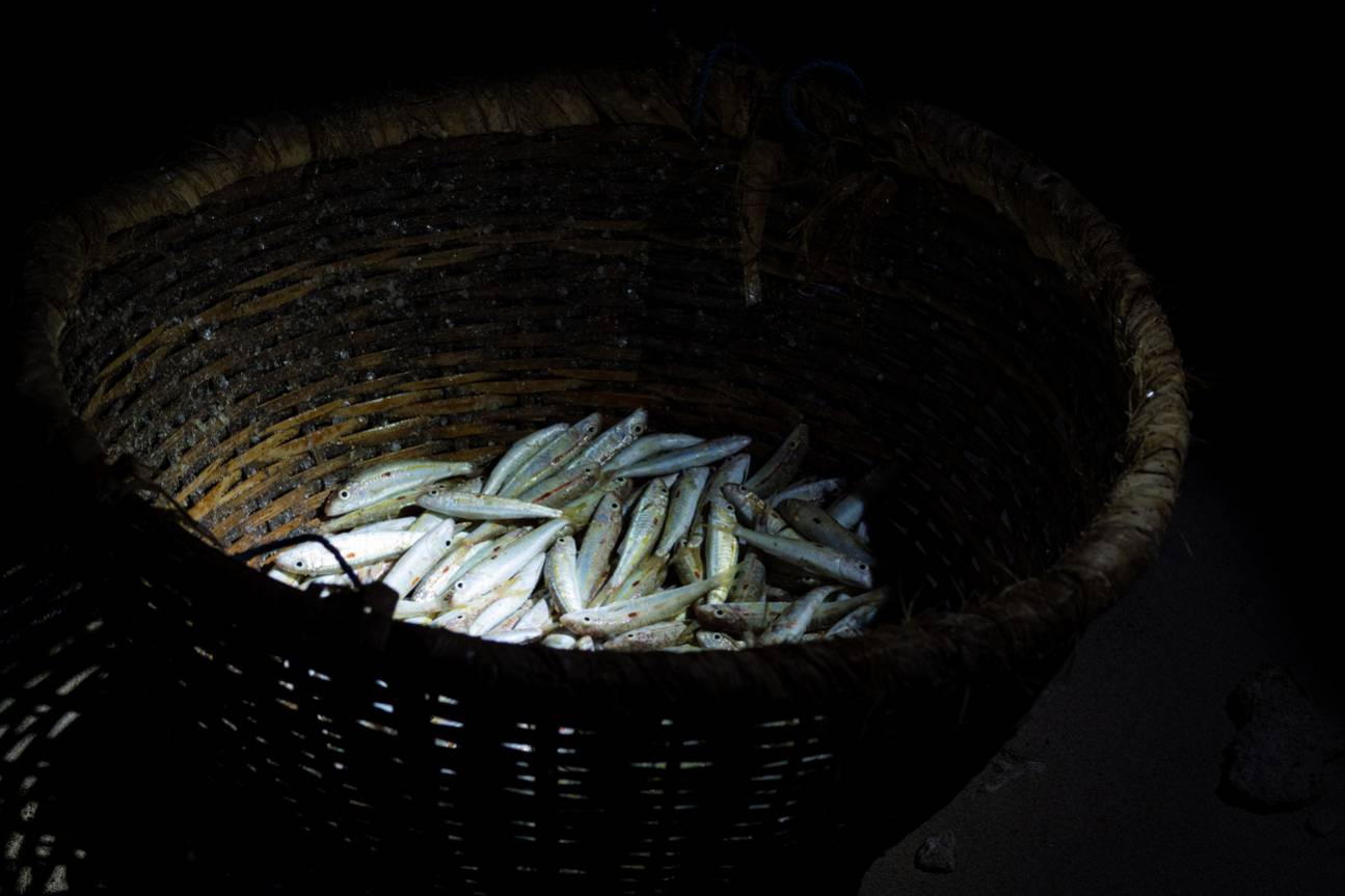 La pêche aux capucins, une tradition dans l'Ouest de l'île de La Réunion 974