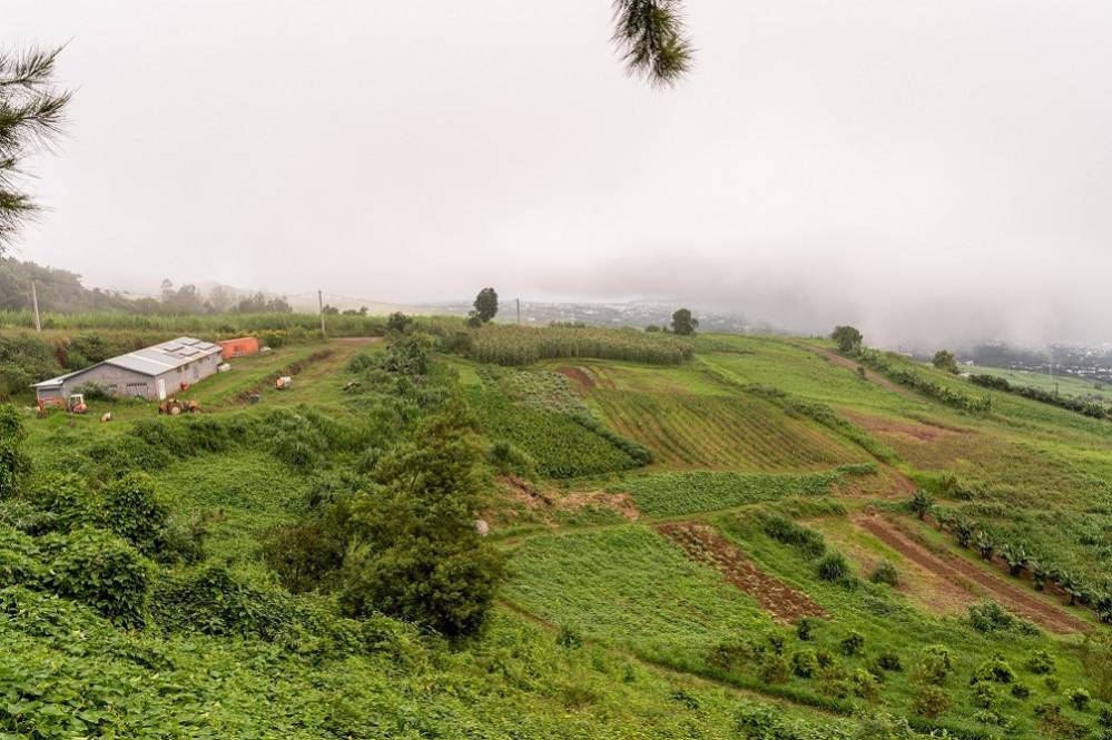Les plus belles terrasses de l?Ouest de La Réunion pour un déjeuner avec vue 974