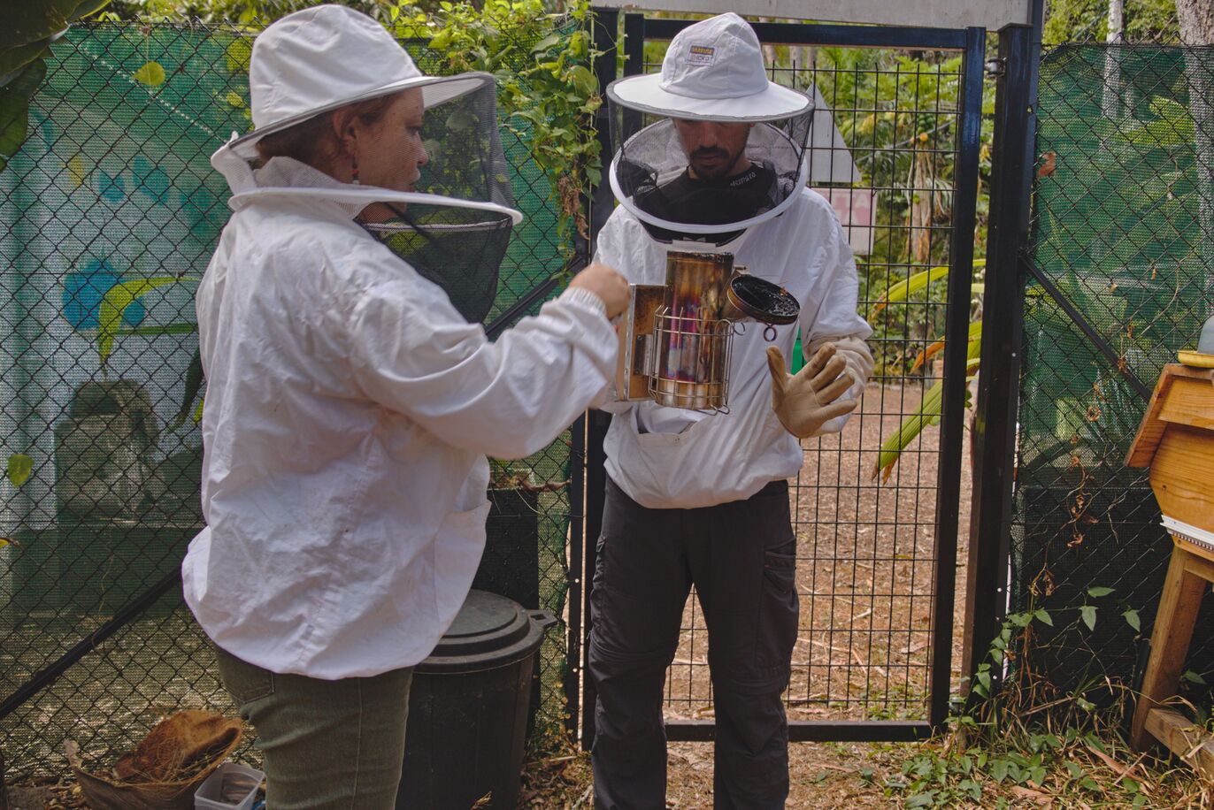 visite d'un rucher dans l'Ouest de La Réunion