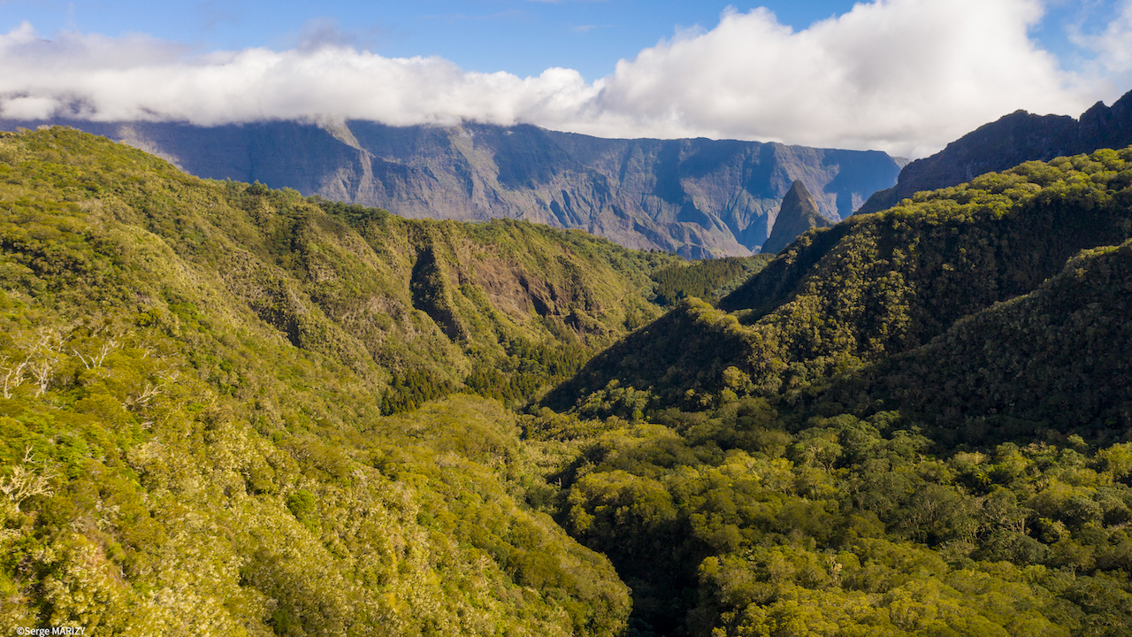 le parc national, le poumon vert de La Réunion