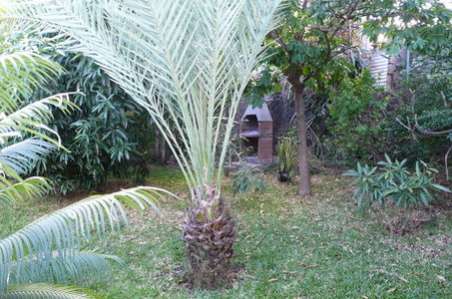 LE MADURAN * Saint-Leu 974
