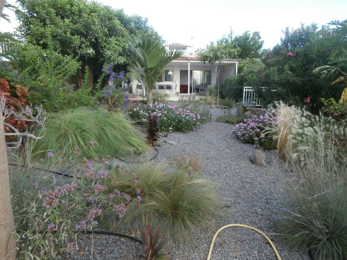 VILLA LES LONGOSES*** Saint-Gilles 974
