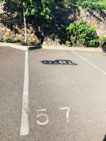 PEARL LAGON  La Saline-les-Bains 974
