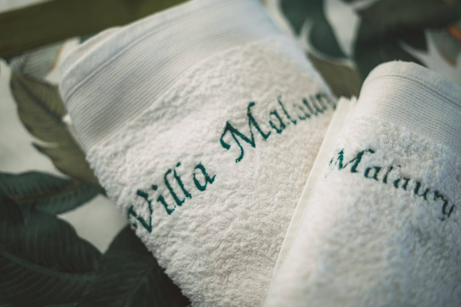 VILLA MALAURY**** Saint-Gilles 974