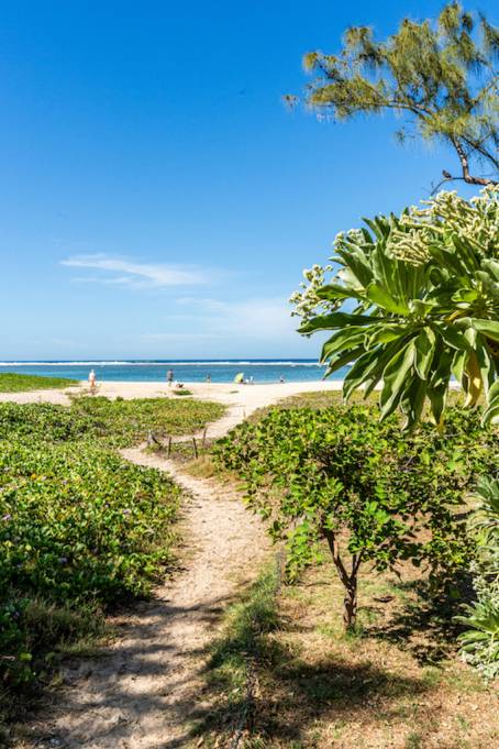 SOLEIA**** L'Hermitage 974