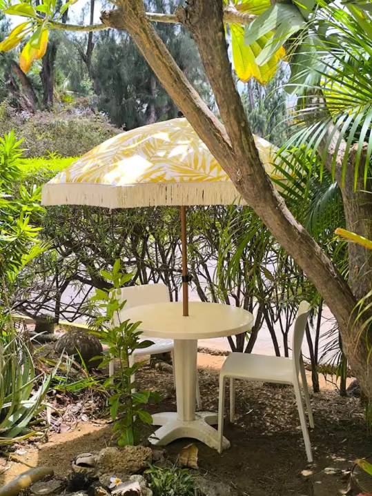  RODRIGUES (LE) L'Hermitage 974