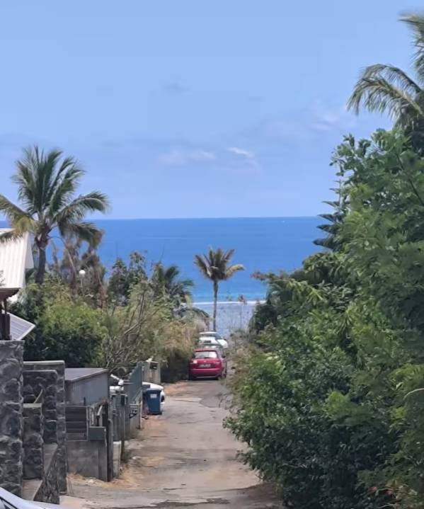 Le Tamarin bleu La Saline-les-Bains 974