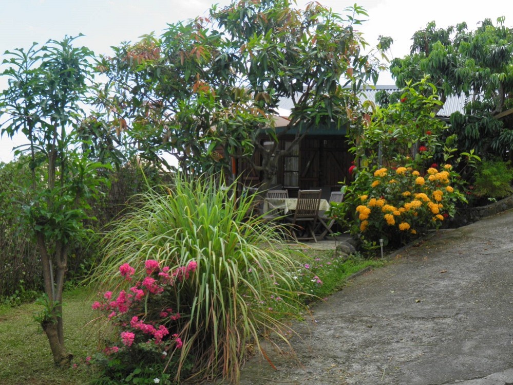 Hébergement Les Bengalis à Saint-Paul avec vue panoramique mer et montagne, jardin tropical et logement climatisé