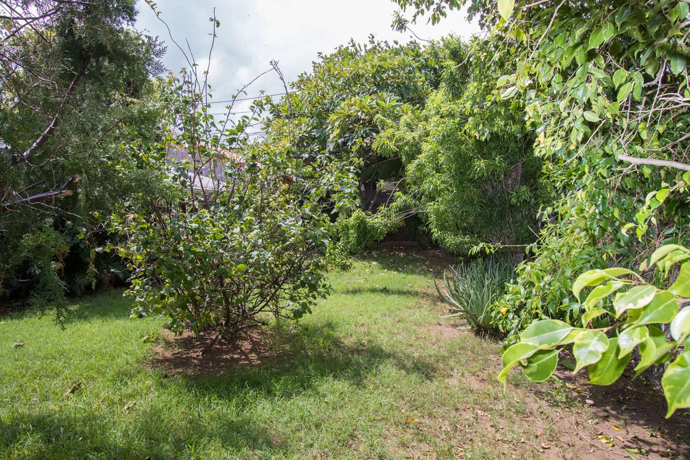 CAPUCINE LOCATION*** La Saline-les-Bains 974