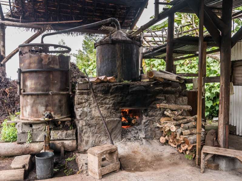 Les distilleries d'huiles essentielles du Maido à l'Ile de La Réunion 974