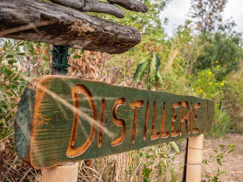 les distilleries de géranium et d'huiles essentielles au Maïdo ile de La Réunion 974