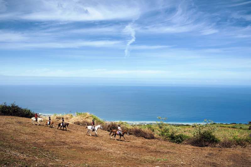 S'organiser dans la fraîcheur des Hauts de l'Ile de La Réunion 974