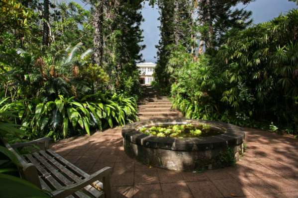 Mascarin Jardin Botanique de La Réunion Saint-Leu 974