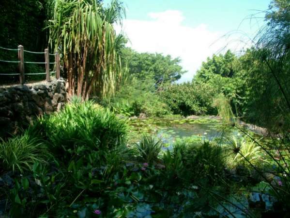 jardin botanique de l'oasis du couchant 974