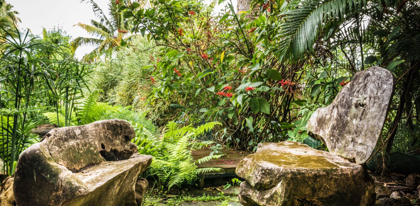 Jardin botanique de l'oasis du couchant 974