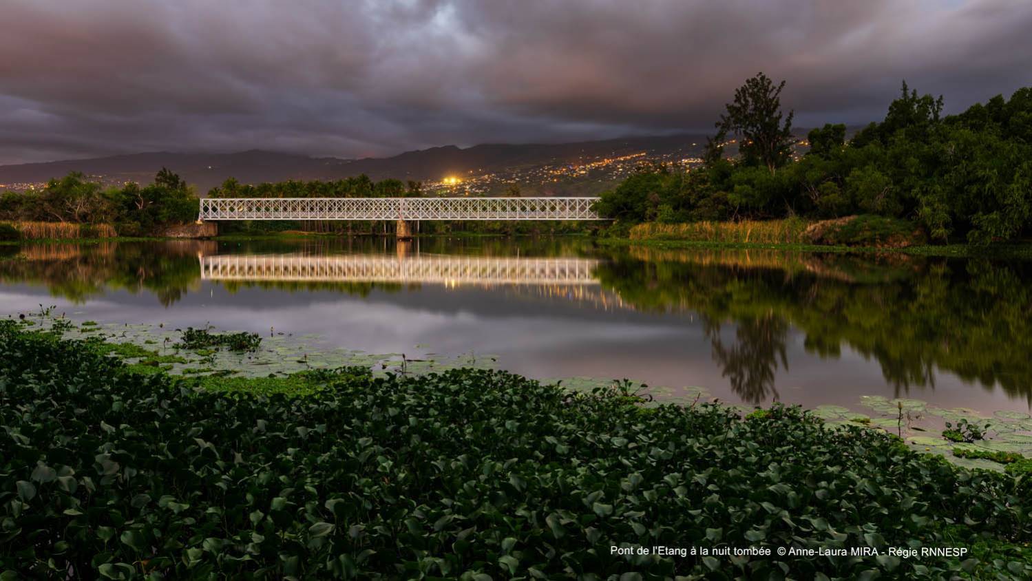 L'étang saintpaul et le tour des roches Office de Tourisme de l'Ouest 974
