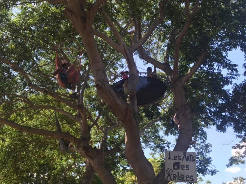 trampoline et hamac dans les arbres avec l'activité grimp'arbre à l'Ile de La Réunion 974