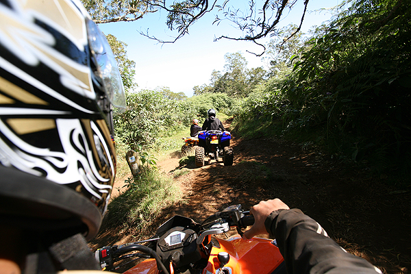 Quad dans la forêt du Maïdo à l'ile de La Réunion 974