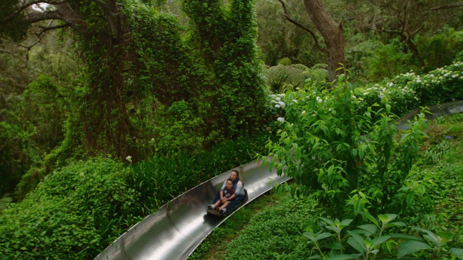 Faire de la luge d'été au Maïdo à l'Ile de La Réunion 974