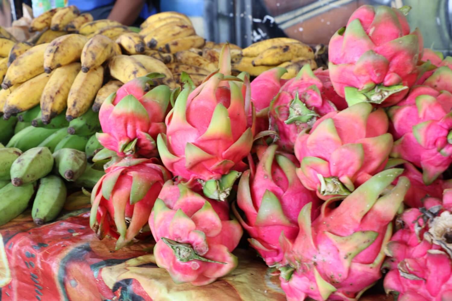 Pitaya sur le marché des producteurs de Saint-Gilles ile de La Réunion 974