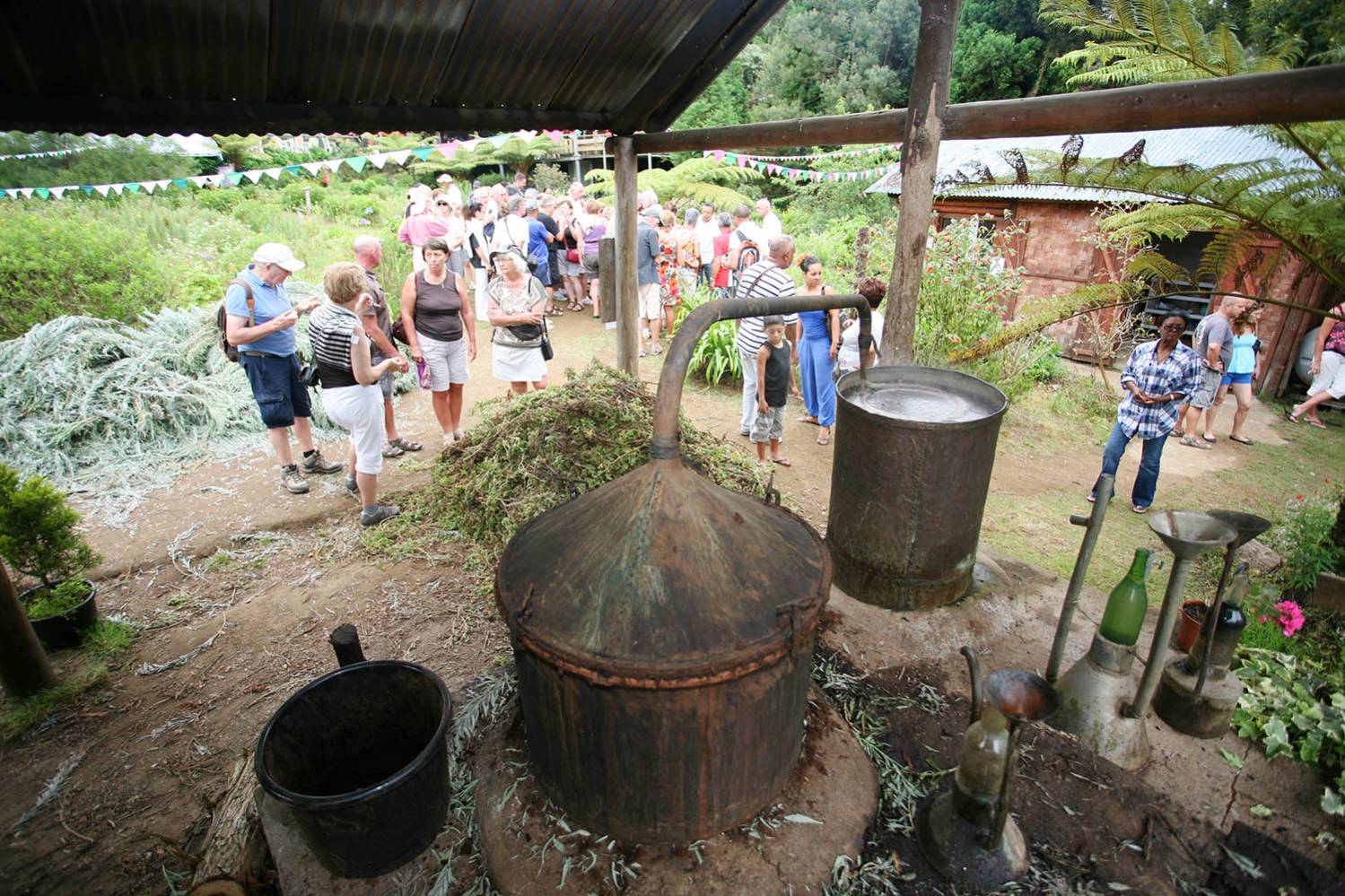 Visite guidée à la maison du géranium à Petite-France Maido ile de La Réunion 974