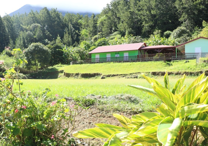 Réserver un gîte à Ilet à bourse 974